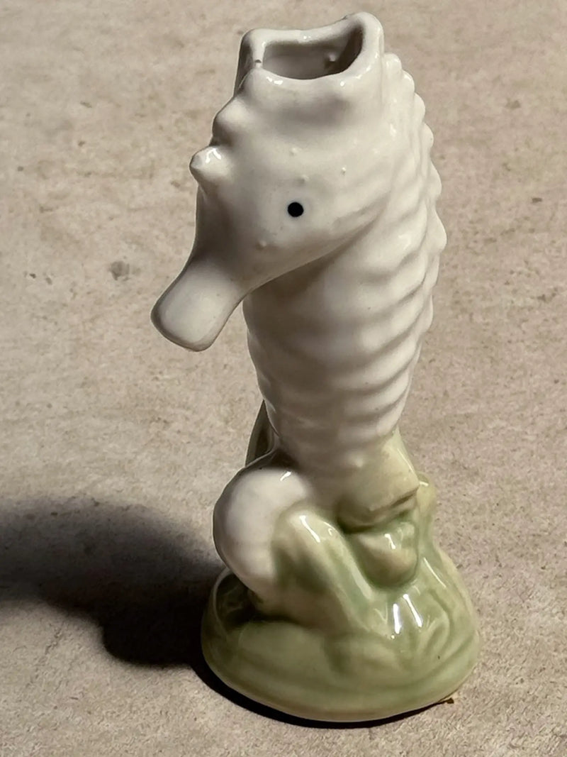 Caballito de Mar