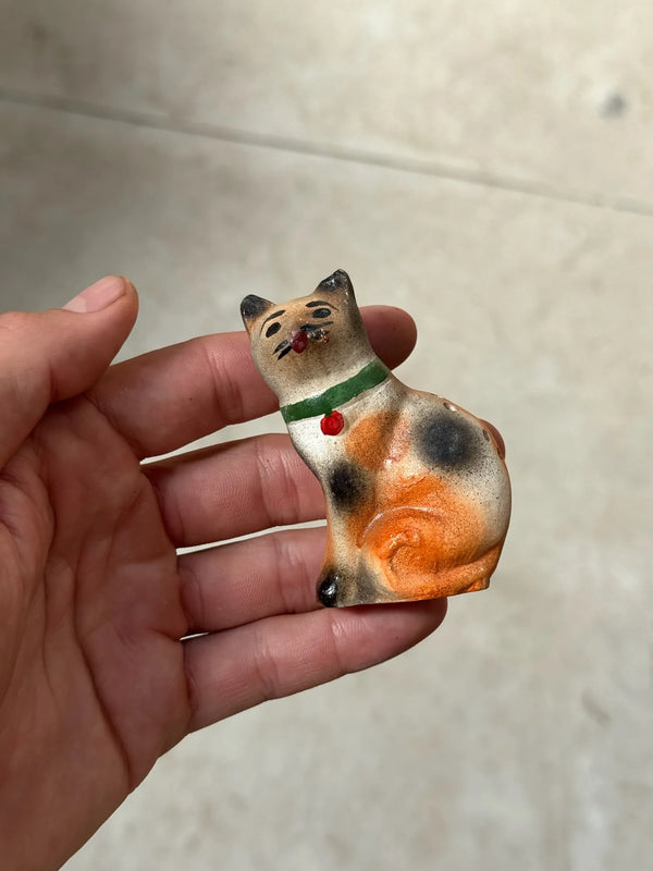 Palillero Gatico
