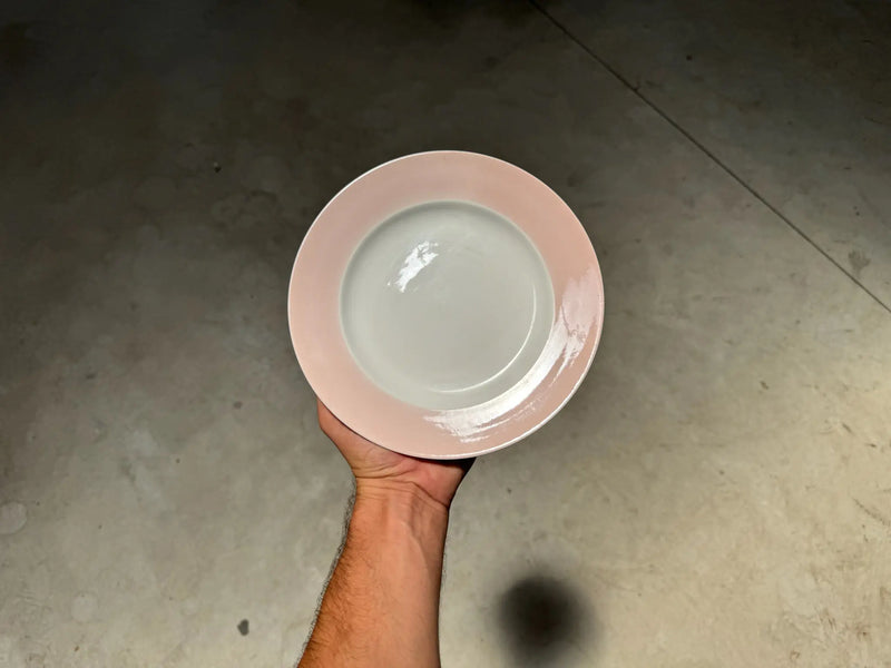 Plato Llano Segovia Rosa