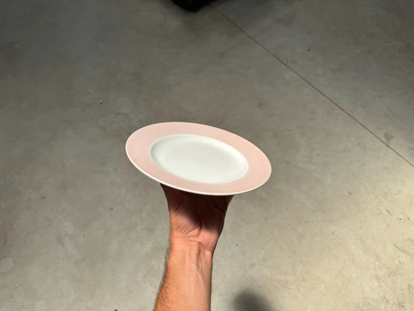 Plato Llano Segovia Rosa