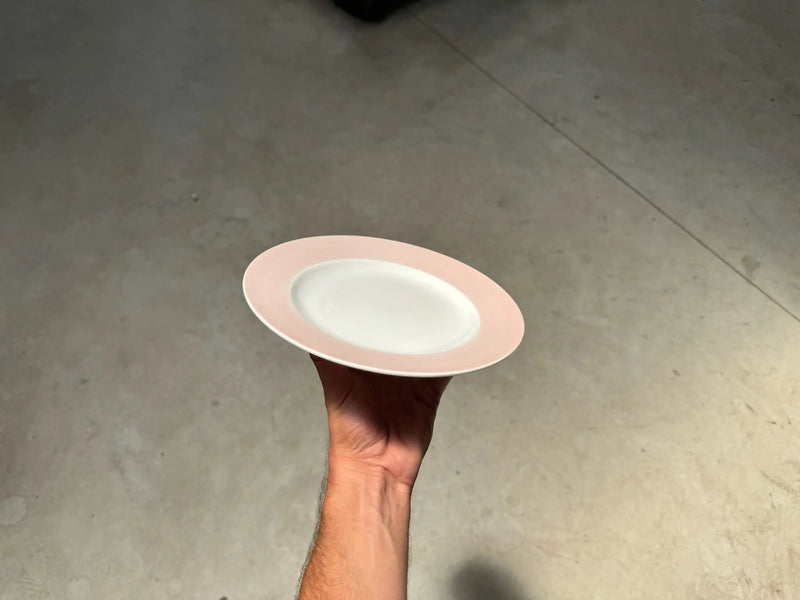Plato Llano Segovia Rosa
