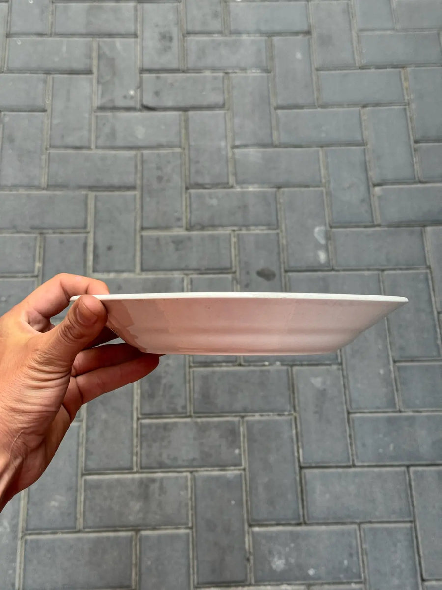 Plato Llano Cartuja Caserío